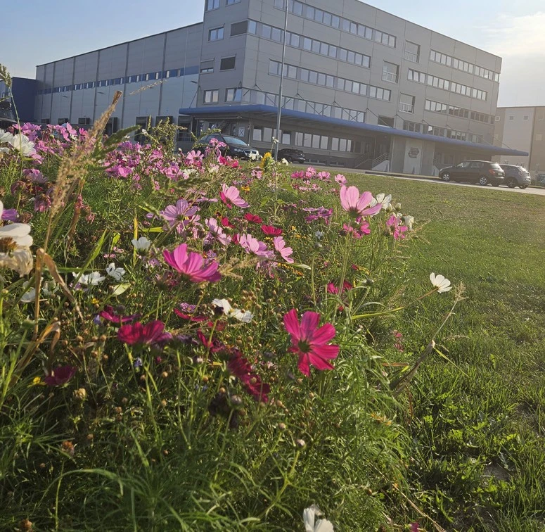 Co o nás říkají naši zákazníci 
